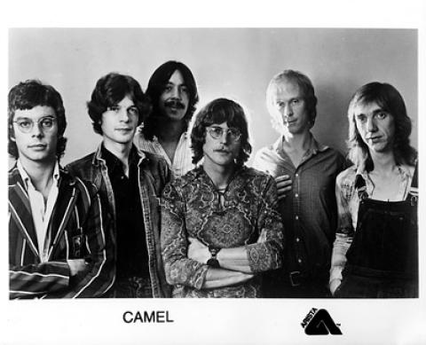Camel Promo Print