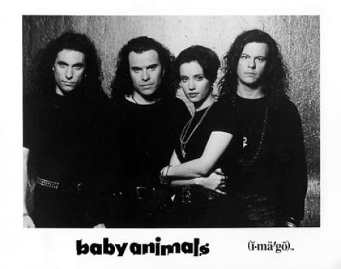 Baby Animals Promo Print