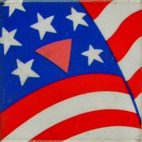 Human Rights Campaign Pin