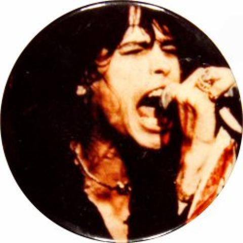 Steven Tyler Pin
