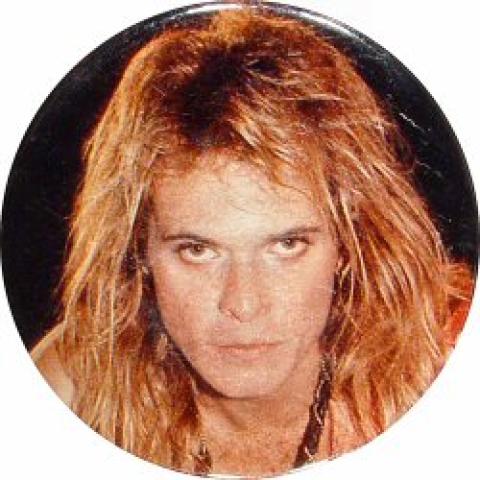 David Lee Roth Pin