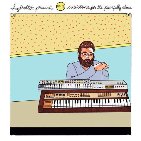 Casiotone For The Painfully Alone / The Donkeys Vinyl 12"