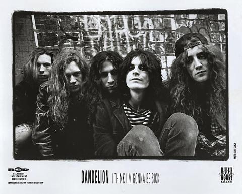 Dandelion Promo Print