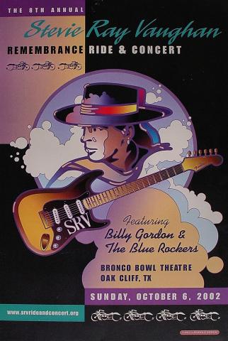 Stevie Ray Vaughan Poster