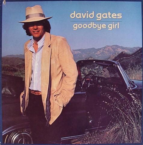 David Gates Vinyl 12"