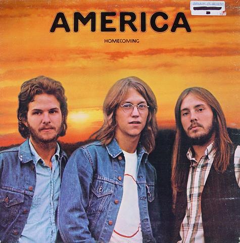 America Vinyl 12"