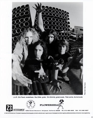 Flowerhead Promo Print