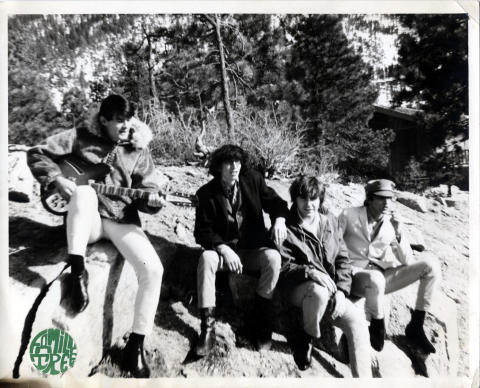 Family Tree Promo Print