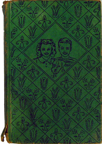 The Bobbsey Twins on Blueberry Island