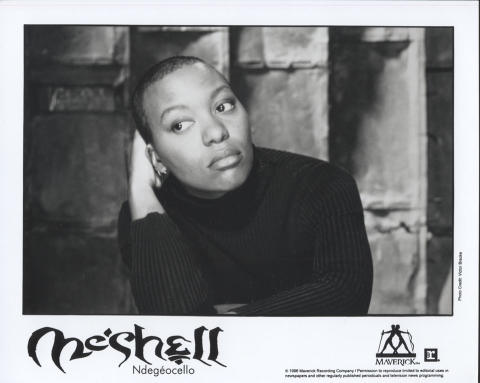 Me'Shell NdegeOcello Promo Print