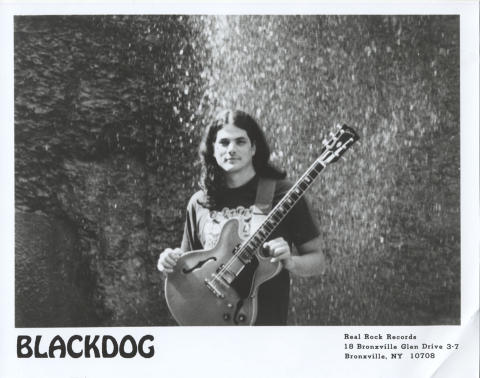 Black Dog Promo Print