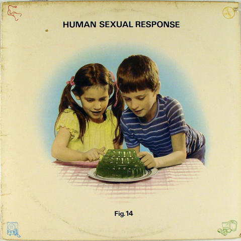 Figure 14 Vinyl 12"
