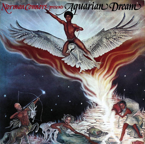 Aquarian Dream Vinyl 12"