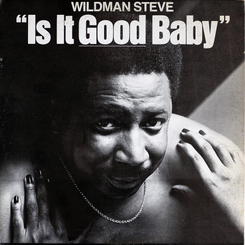 Wildman Steve Vinyl 12"