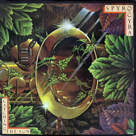 Spyro Gyra Vinyl 12"