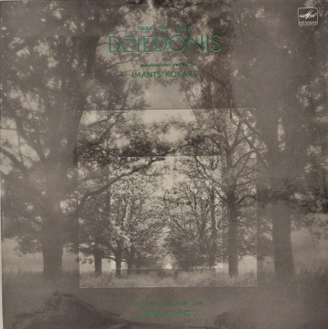 Imants Kokars Vinyl 12"