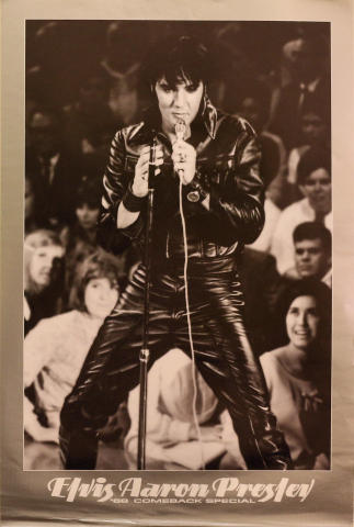 Elvis Aaron Presley Poster