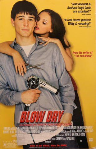 Blow Dry Poster