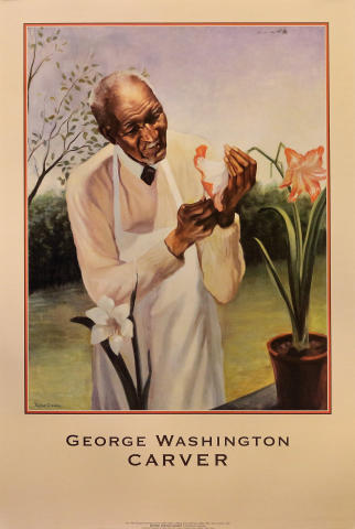 George Washington Carver Poster