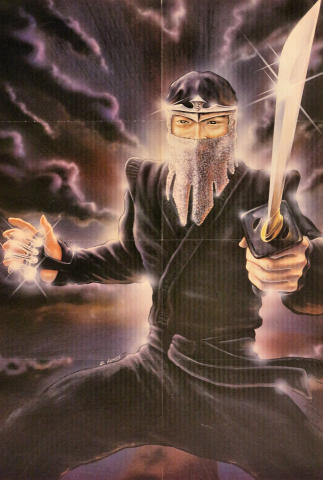 Ninja Poster
