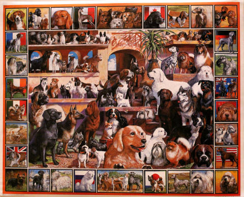 White Mountain Puzzles Dogs Poster