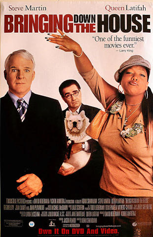Bringing Down The House Poster