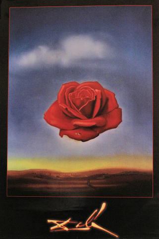 Rose Meditative Poster