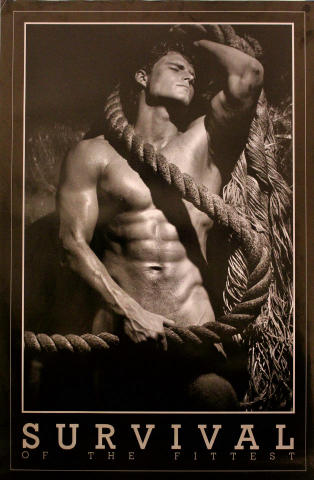 Survival of the Fittest Poster