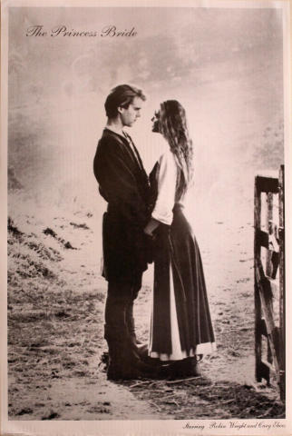 The Princess Bride Poster
