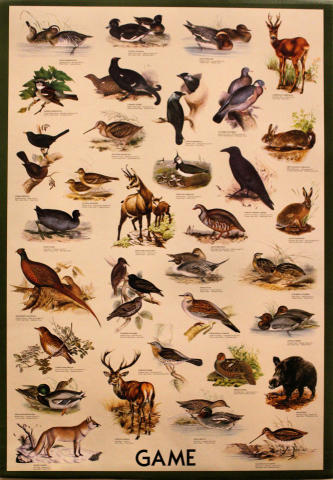 Game Poster