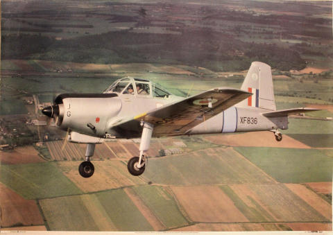 Percival Provost Trainer Poster