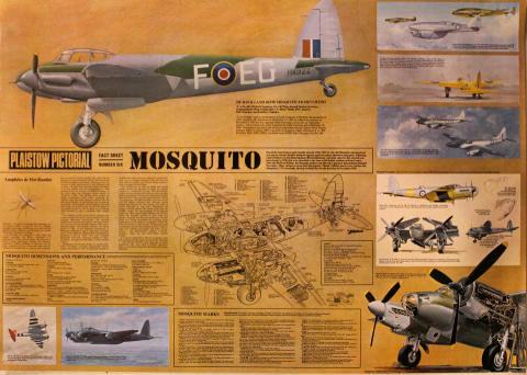 Plaistow Pictorial Fact Sheet Number Six: Mosquito Poster