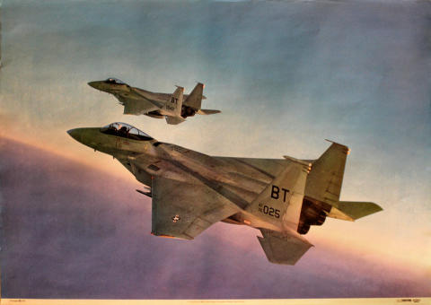 F-15 Eagle from 36th Tactical Fighter Wing Poster