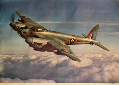Mosquito B. XVI of No/ 571 Poster