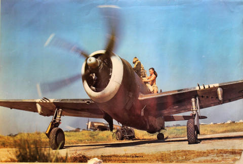 Republic Thunderbolt II in Burma Poster