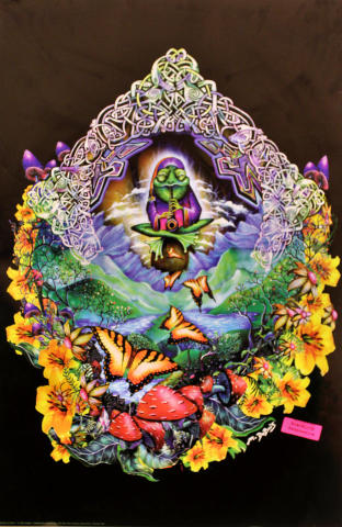 Musical Frog Poster