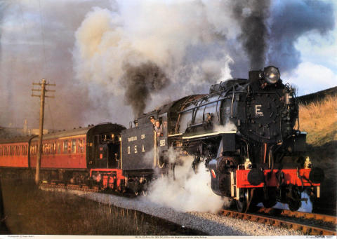 PKP Ex-US Army No. 5820 Big Jim Poster