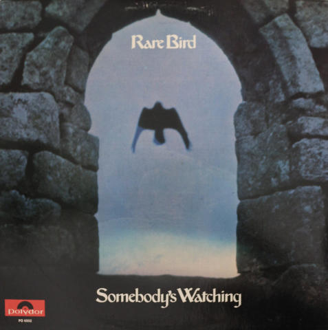 Rare Bird Vinyl 12"