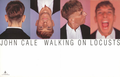 John Cale Poster