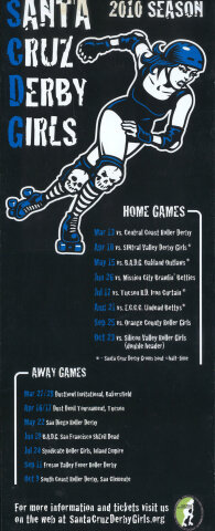 Santa Cruz Derby Girls Poster