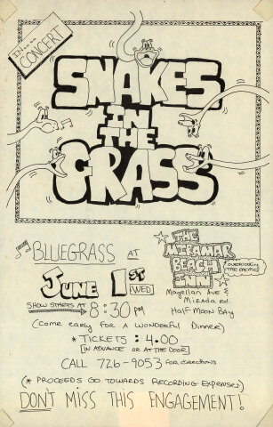 Snakes in the Grass Poster