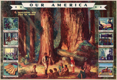Our America: Learning About the Forest Poster