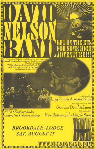 David Nelson Band Poster